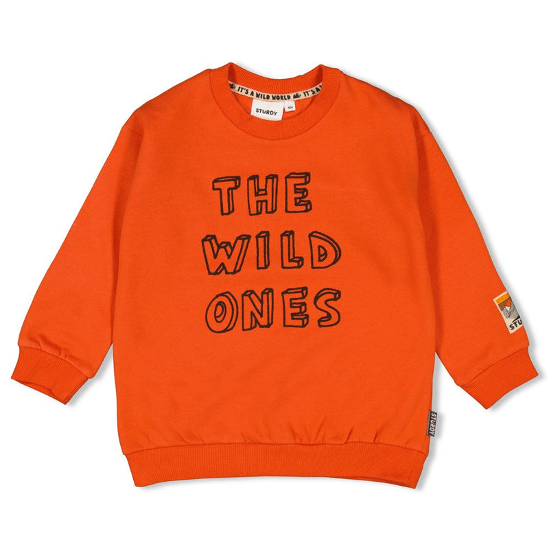 Jongens Sweater - Fly Wild van Sturdy in de kleur Rood in maat 128.