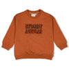 Jongens Sweater - Fly Wild van Sturdy in de kleur Hazelnoot in maat 128.