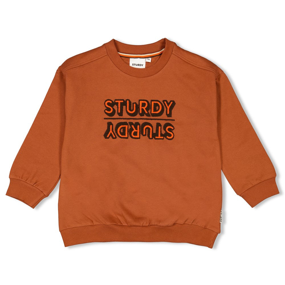Sturdy Sweater - Fly Wild