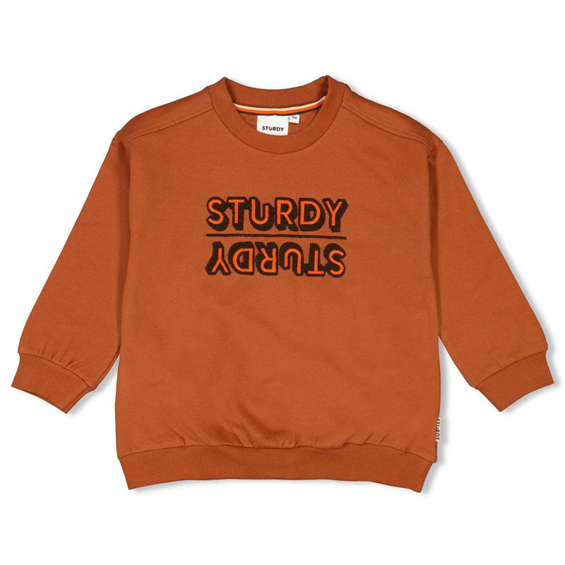 Jongens Sweater - Fly Wild van Sturdy in de kleur Hazelnoot in maat 128.