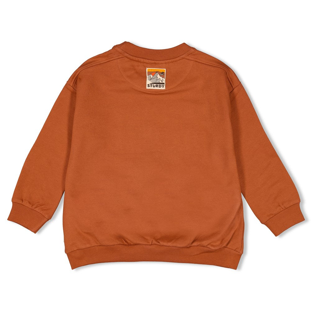 Jongens Sweater - Fly Wild van Sturdy in de kleur Hazelnoot in maat 128.