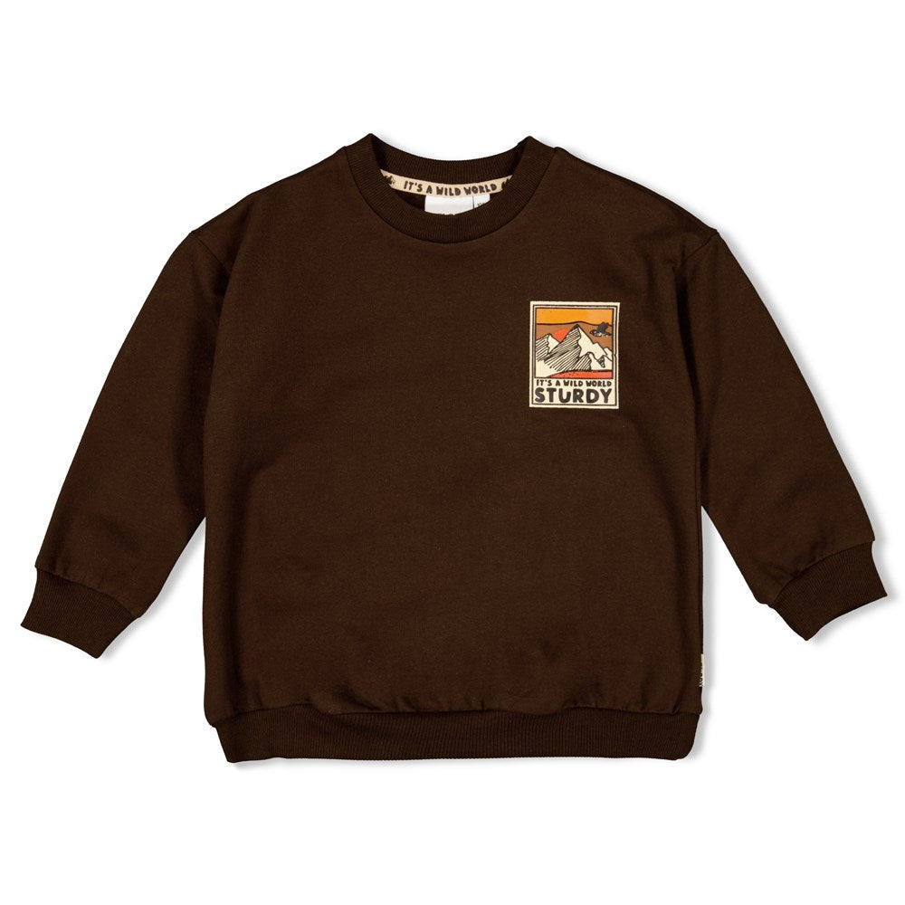 Sturdy Sweater - Fly Wild