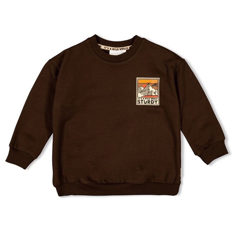 Jongens Sweater - Fly Wild van Sturdy in de kleur d.Bruin in maat 128.