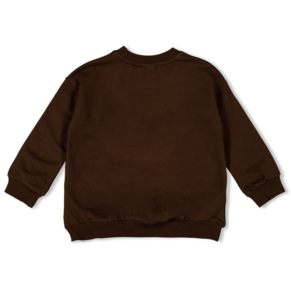 Jongens Sweater - Fly Wild van Sturdy in de kleur d.Bruin in maat 128.