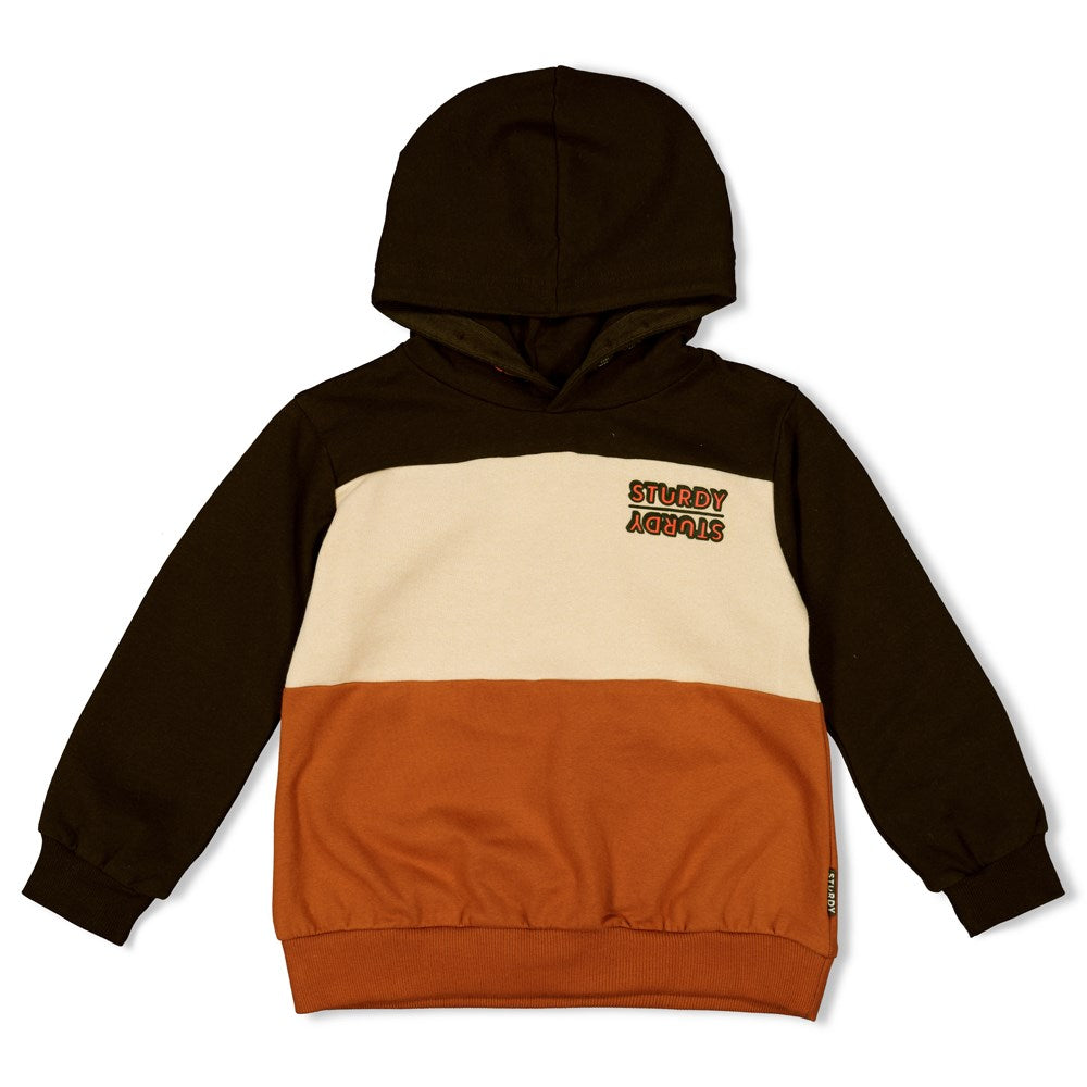 Sturdy Hoody - Fly Wild