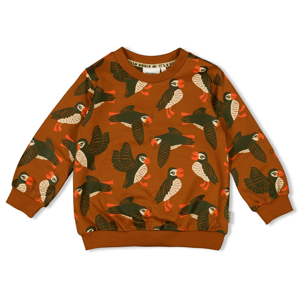 Sturdy Sweater AOP - Fly Wild