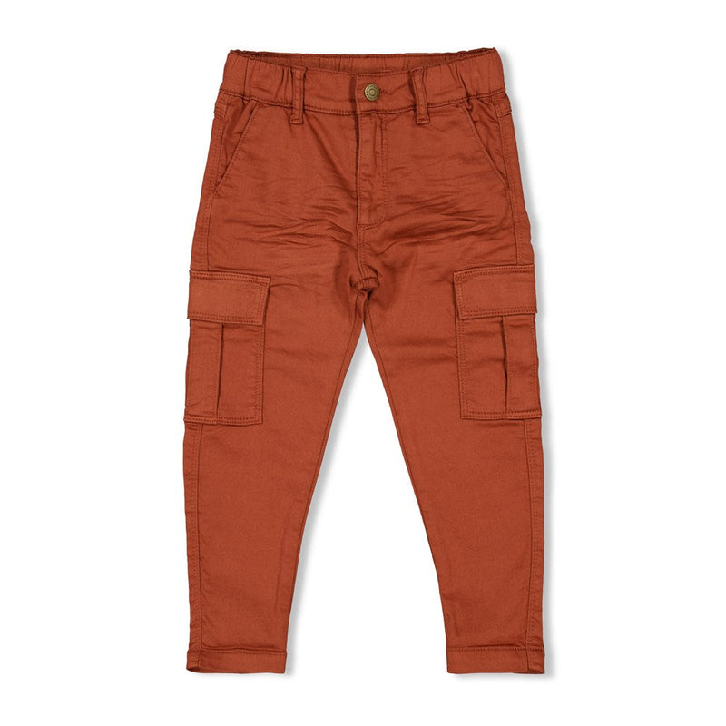 Jongens Broek - Fly Wild van Sturdy in de kleur Hazelnoot in maat 128.