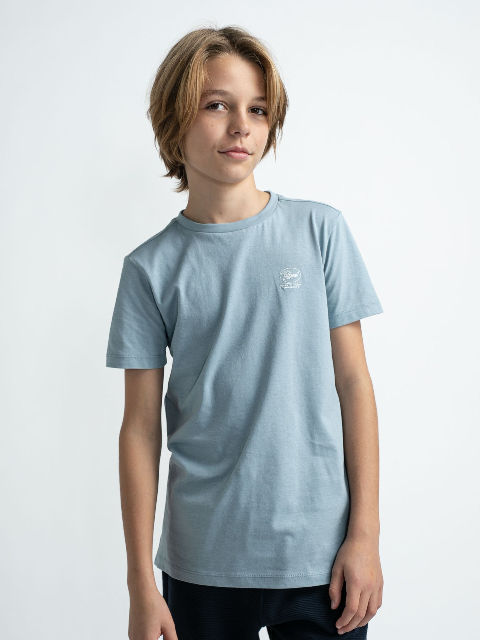 Jongens T-Shirt SS van Petrol in de kleur Dusty Blue in maat 176.