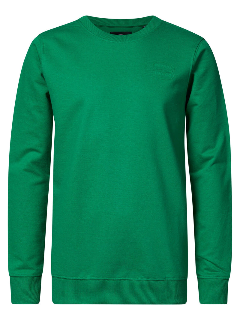 Jongens Boys Sweater Round Neck Print van Petrol in de kleur Island Green in maat 164.