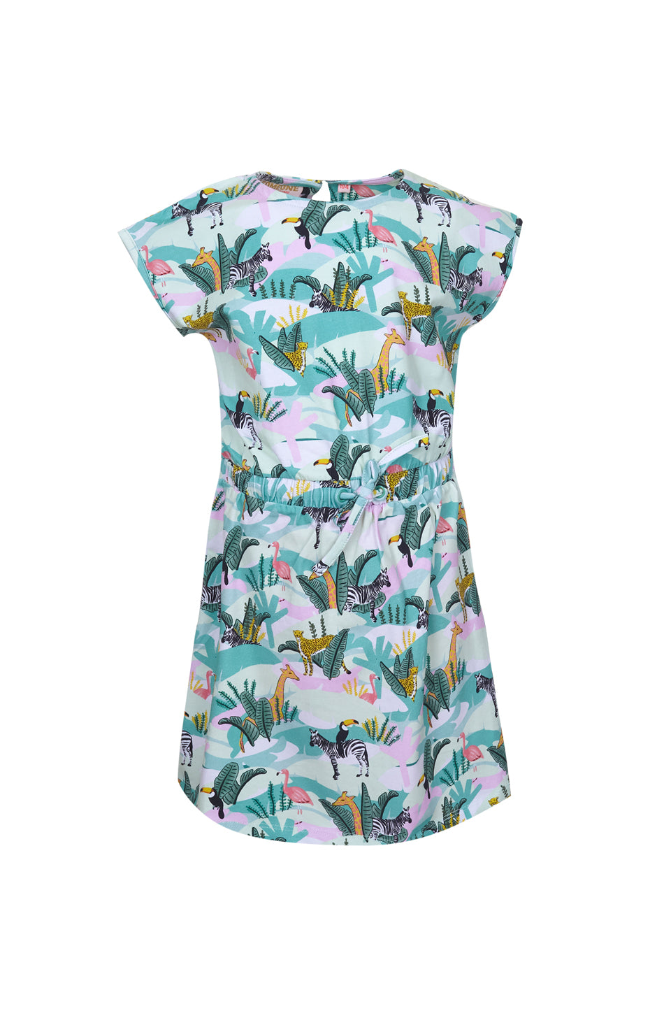 Someone Dress Short Sleeve BOTSWANA-SG-51-A