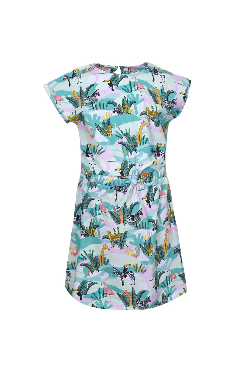 Someone Dress Short Sleeve BOTSWANA-SG-51-A