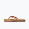 Reef KIDS DEVY CORAL