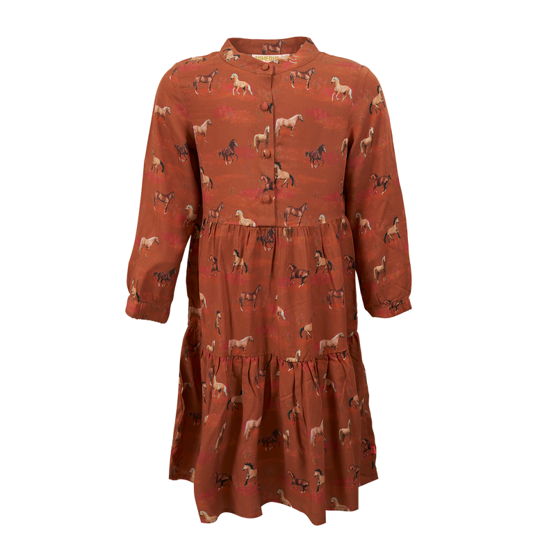 Someone Dress long sleeves DIAMOND-SG-52-E