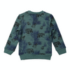 Koko Noko Boys Sweater longsleeve