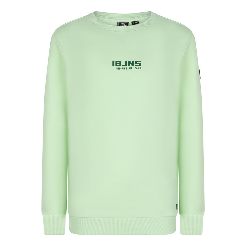 Indian Blue Jeans Sweater IBJNS