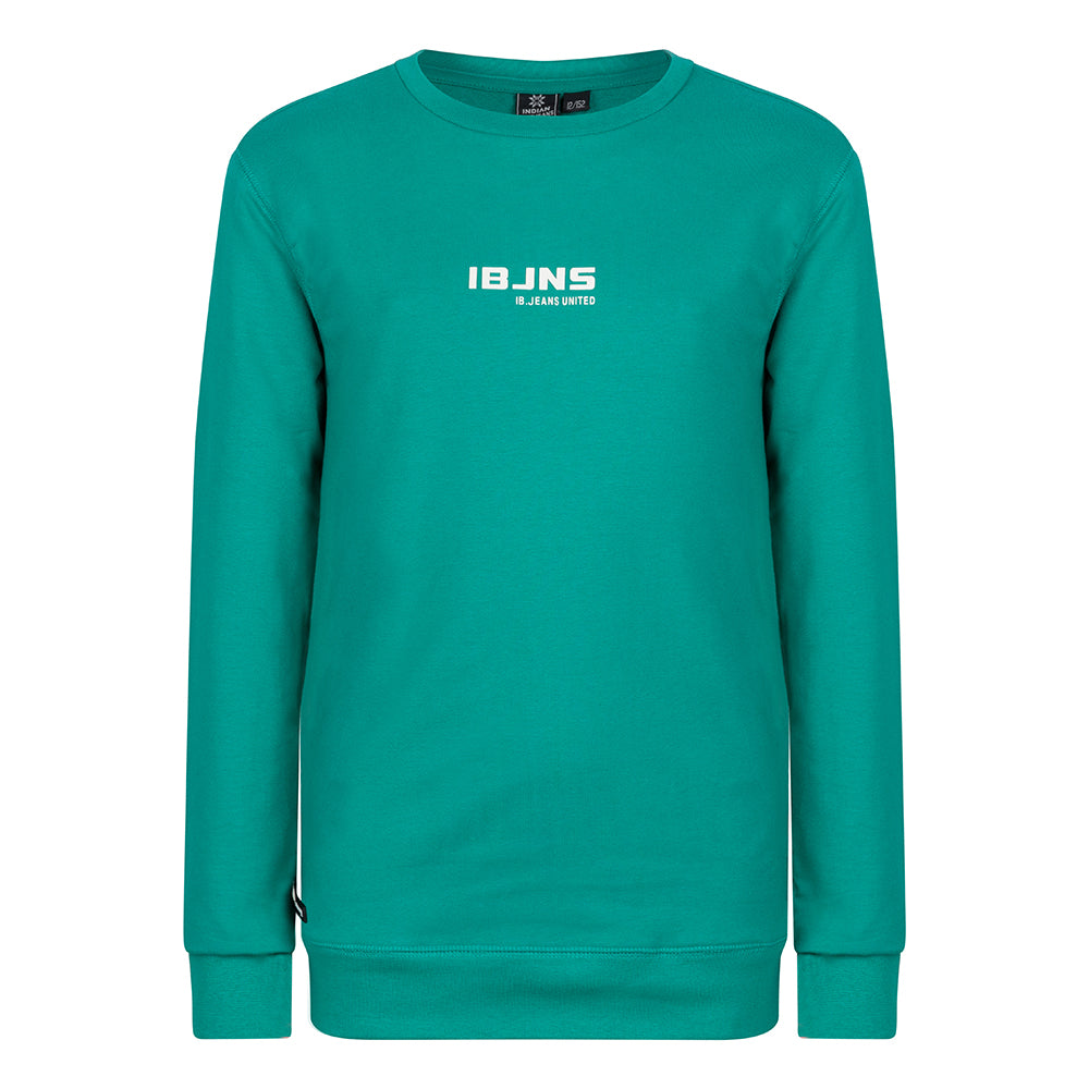 Indian Blue Jeans Sweater IBJNS