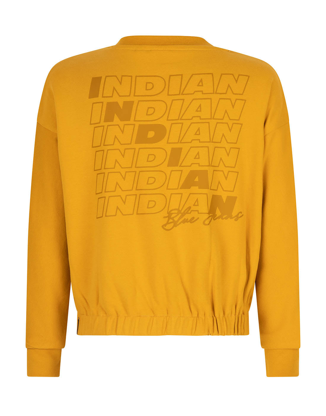 Indian Blue Jeans Sweater Crewneck Okay