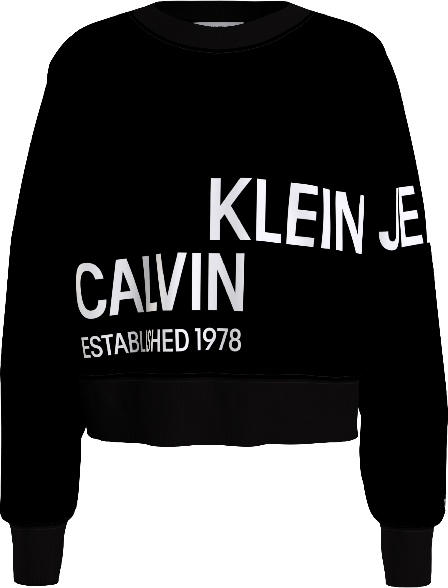 Calvin Klein Inst Hero Logo Sweatshirt