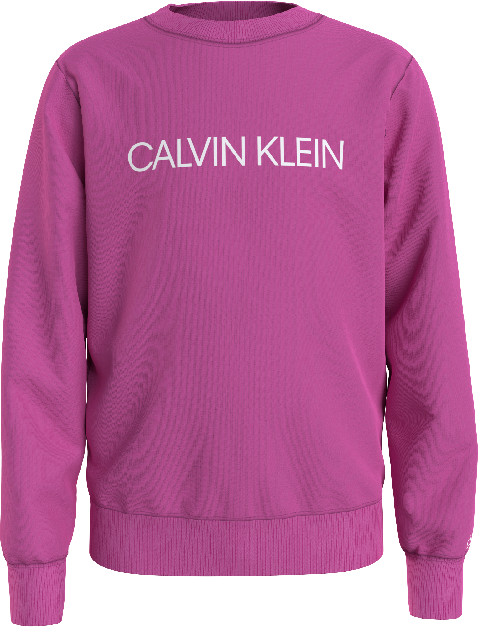 Calvin Klein INSTITUTIONAL LOGO SWEATSHIRT