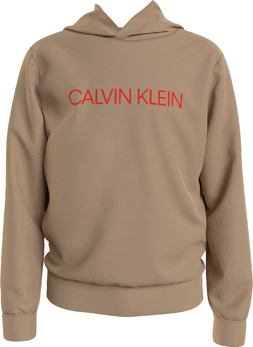 Calvin Klein Institutional Logo Hoodie