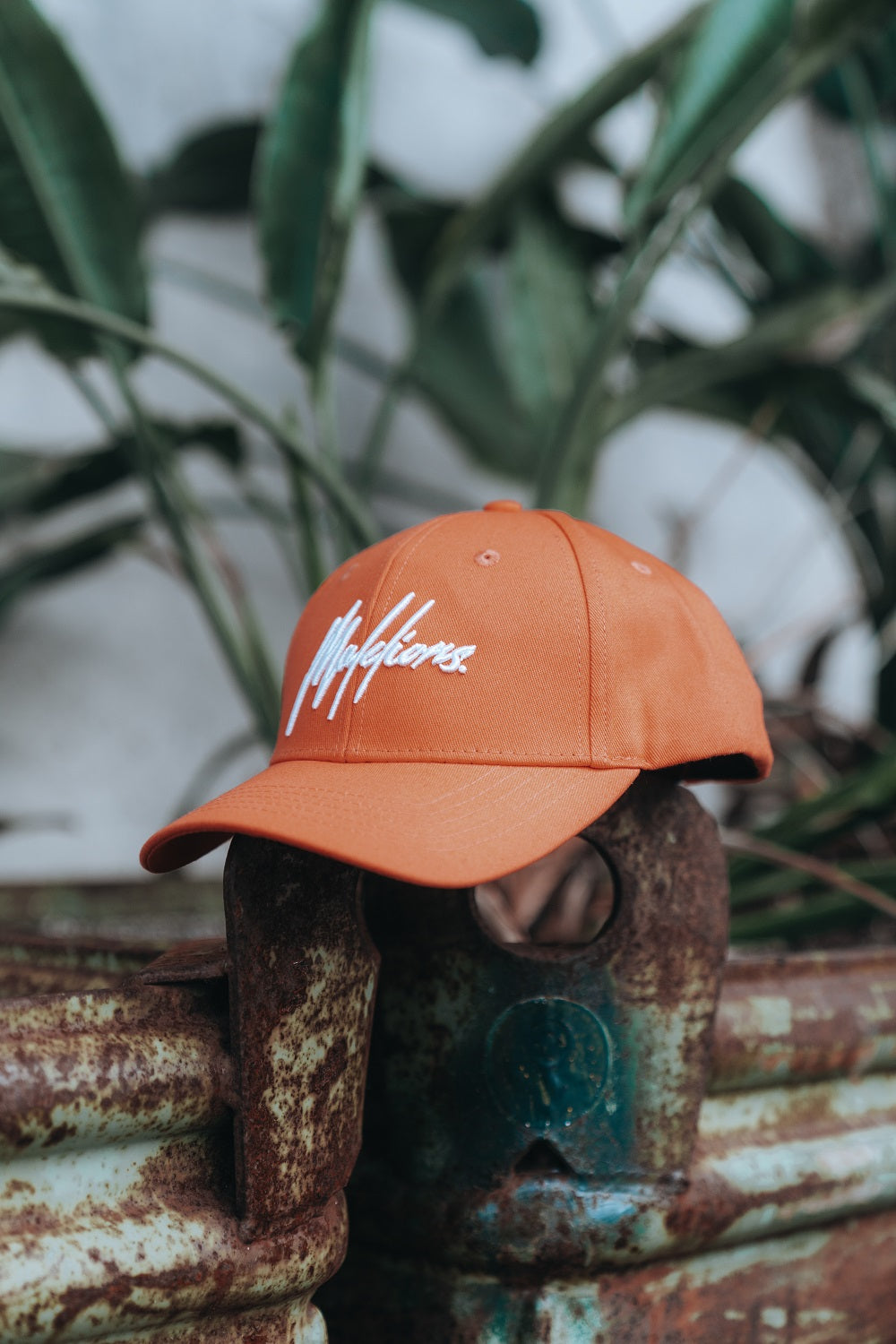 Malelions Malelions Junior Signature Cap
