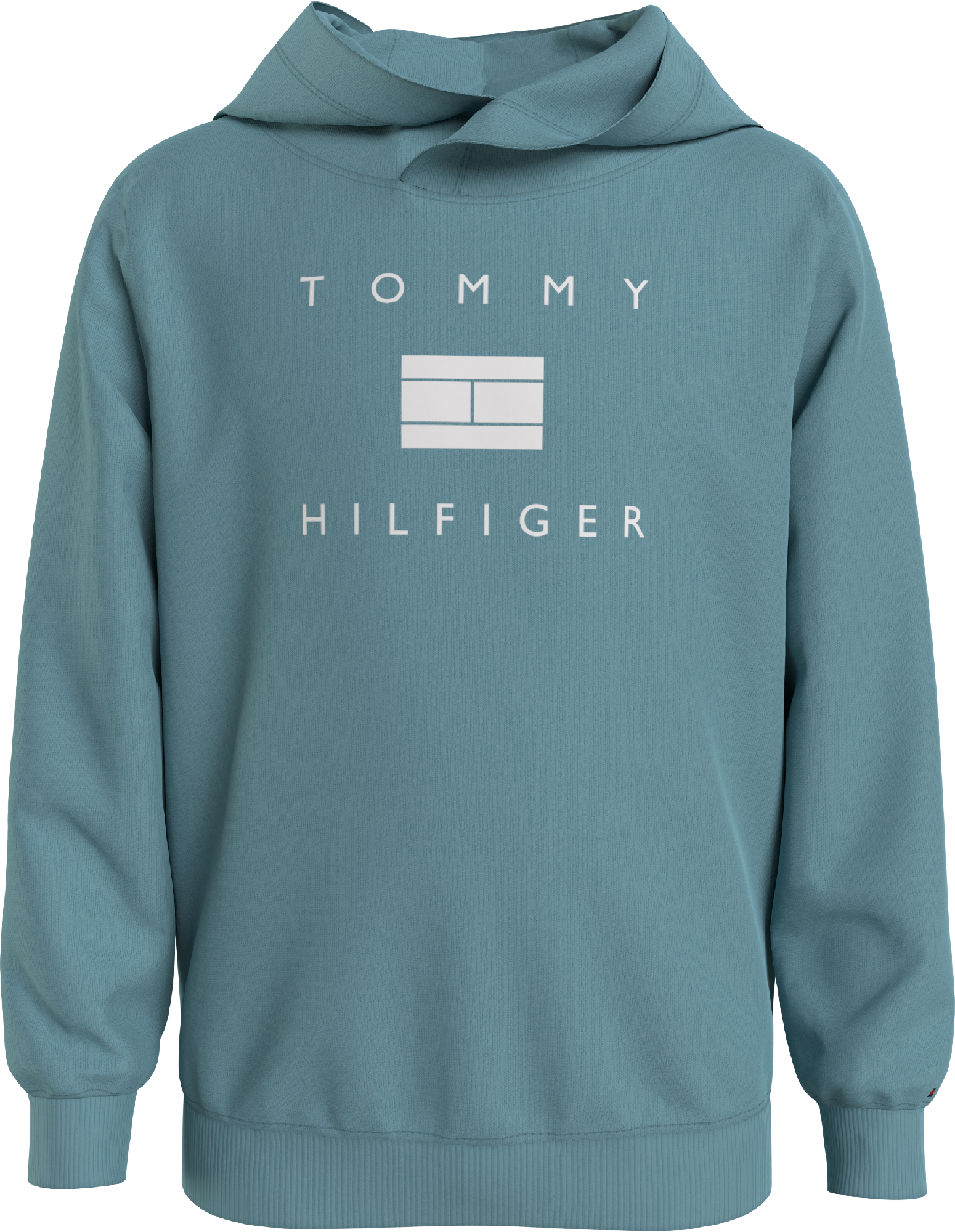 Tommy Hilfiger Th Logo Hoodie