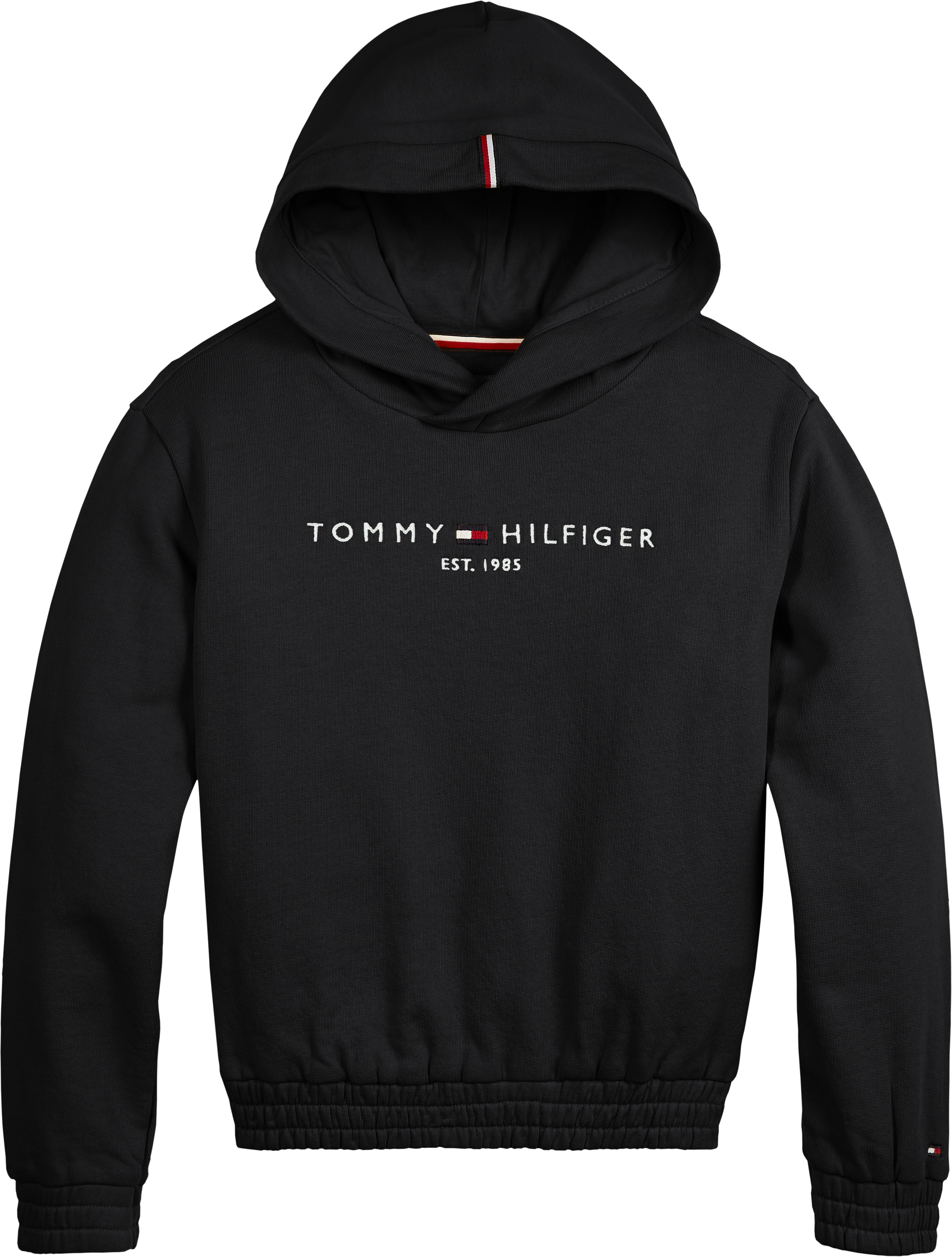 Tommy Hilfiger Hooded Sweater ESSENTIAL HOODIE BDS