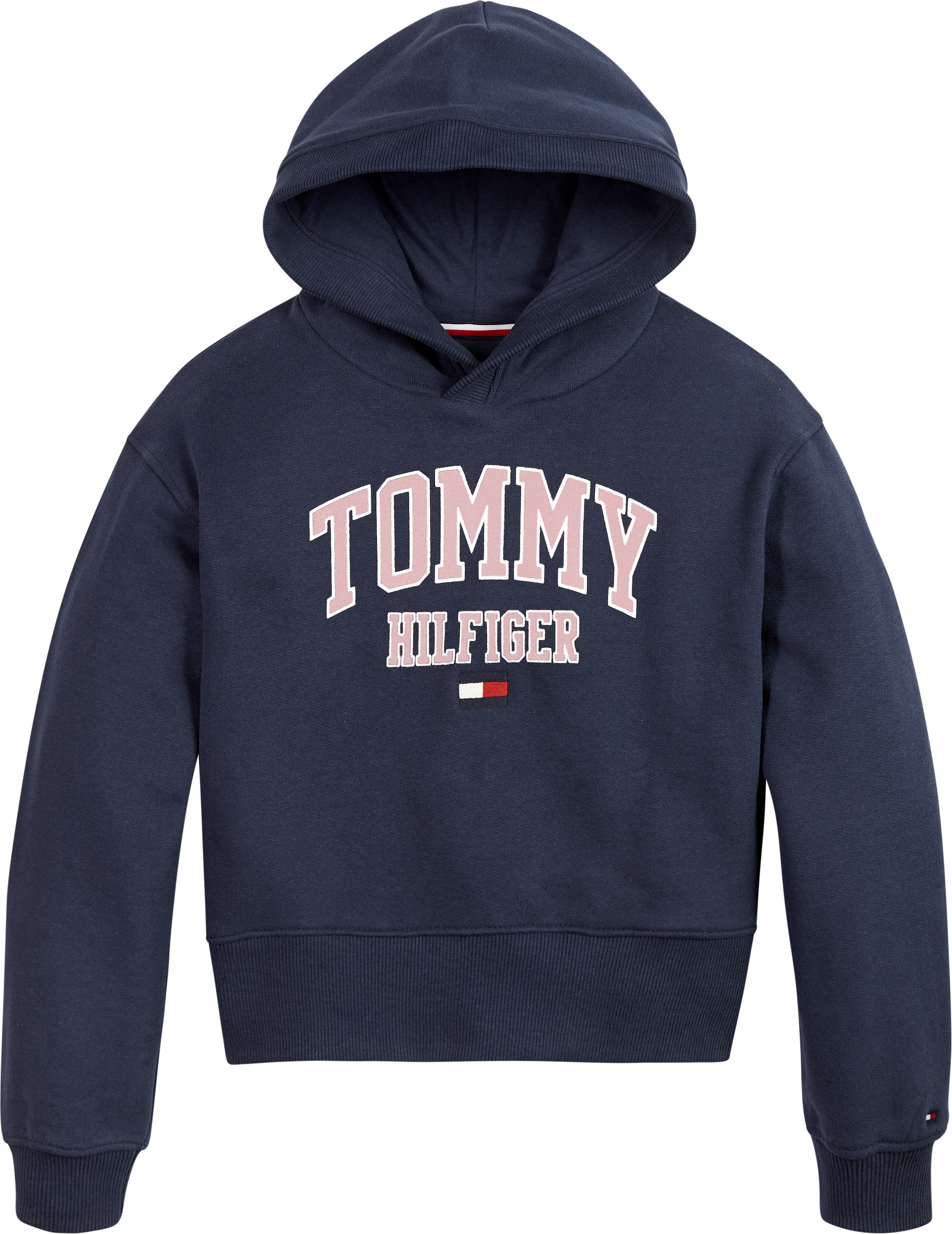 Tommy Hilfiger Hooded Sweater ESSENTIAL VARSITY C87