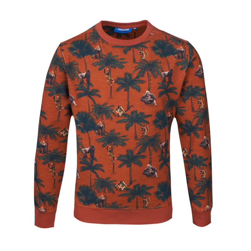 Someone Sweater Long Sleeves Someone Light Rust