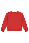 Jongens Sweater van Little Levv in de kleur Red in maat 116.
