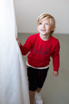 Jongens Sweater van Little Levv in de kleur Red in maat 116.