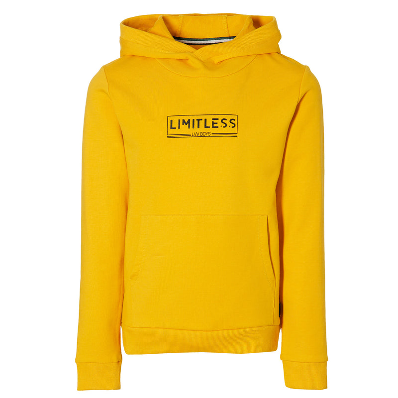 Levv Hooded Sweater Kenzo W202
