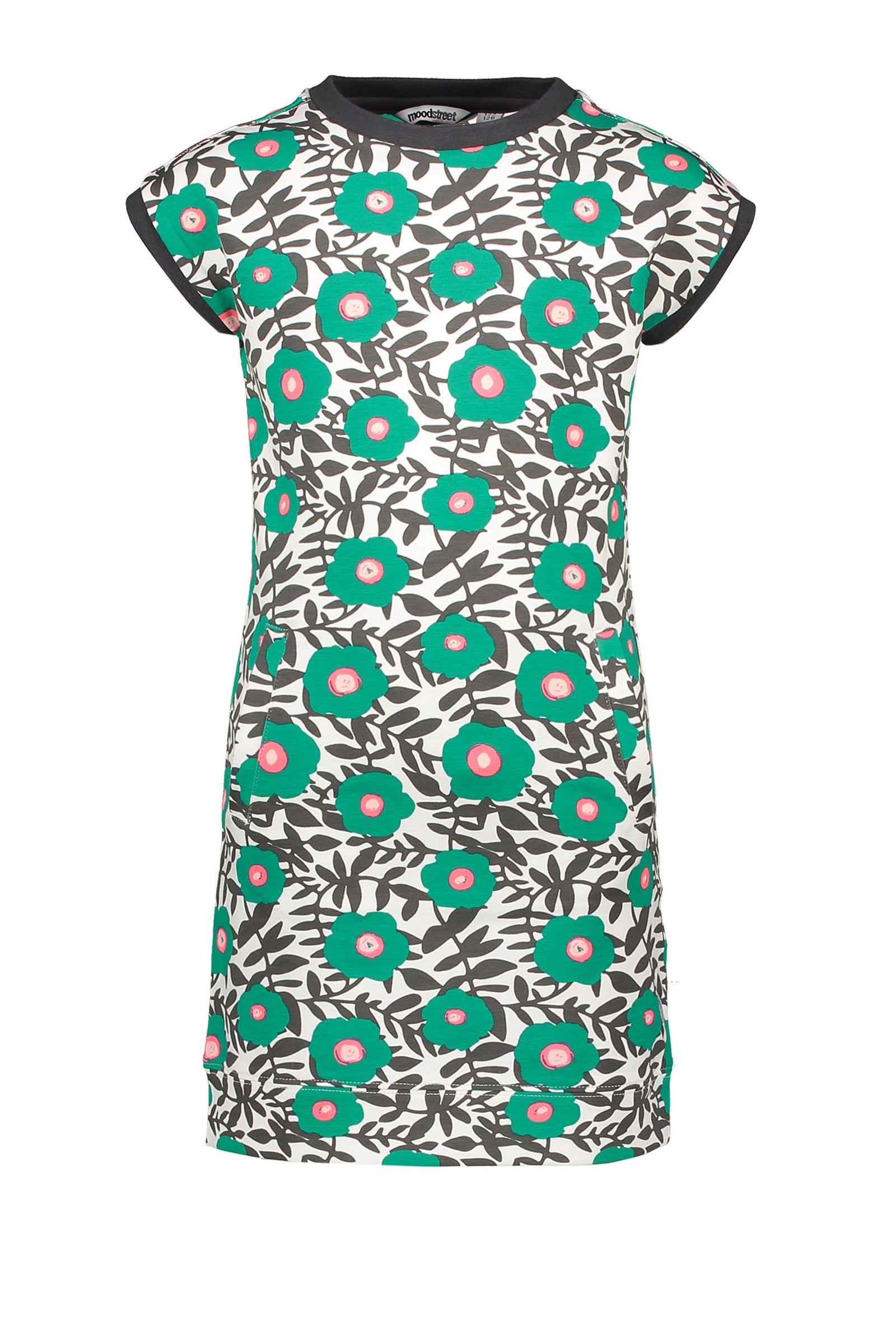 Moodstreet Dress Aop Flower