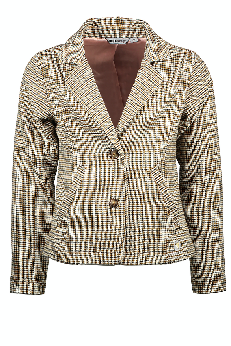 Moodstreet MT check blazer