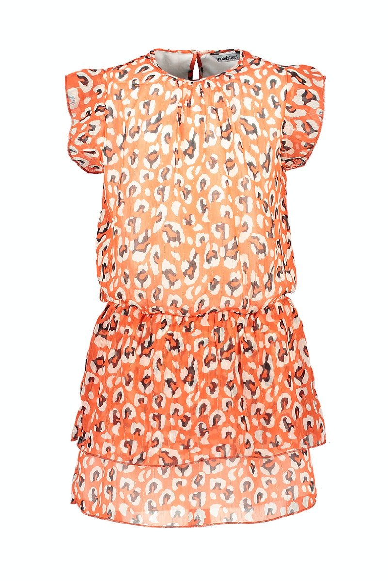 Moodstreet MT AO animal dress