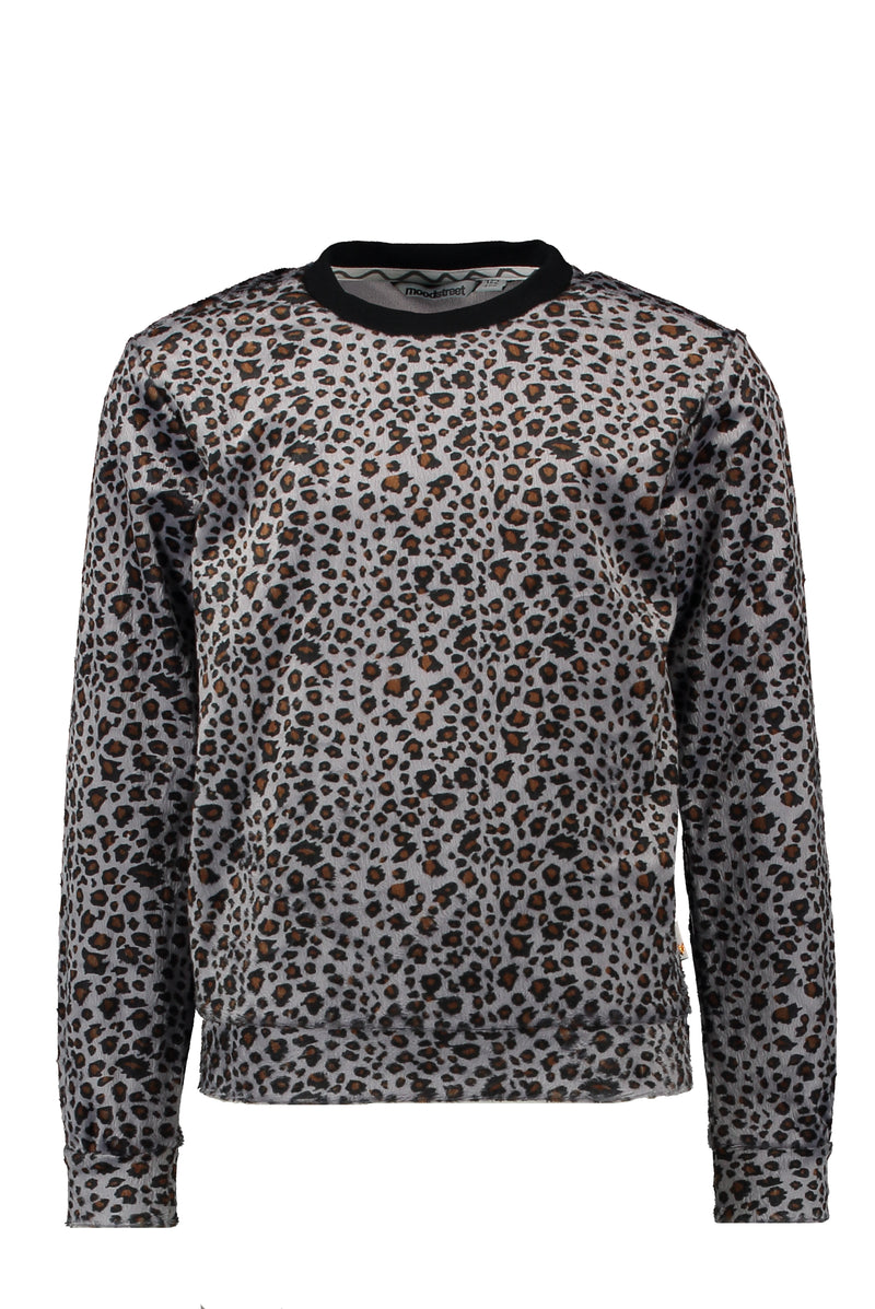 Moodstreet MT sweater AOP velours
