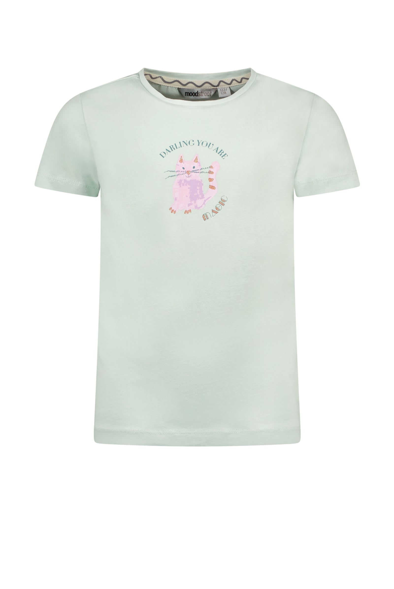 Moodstreet MT T-shirt Chest Print