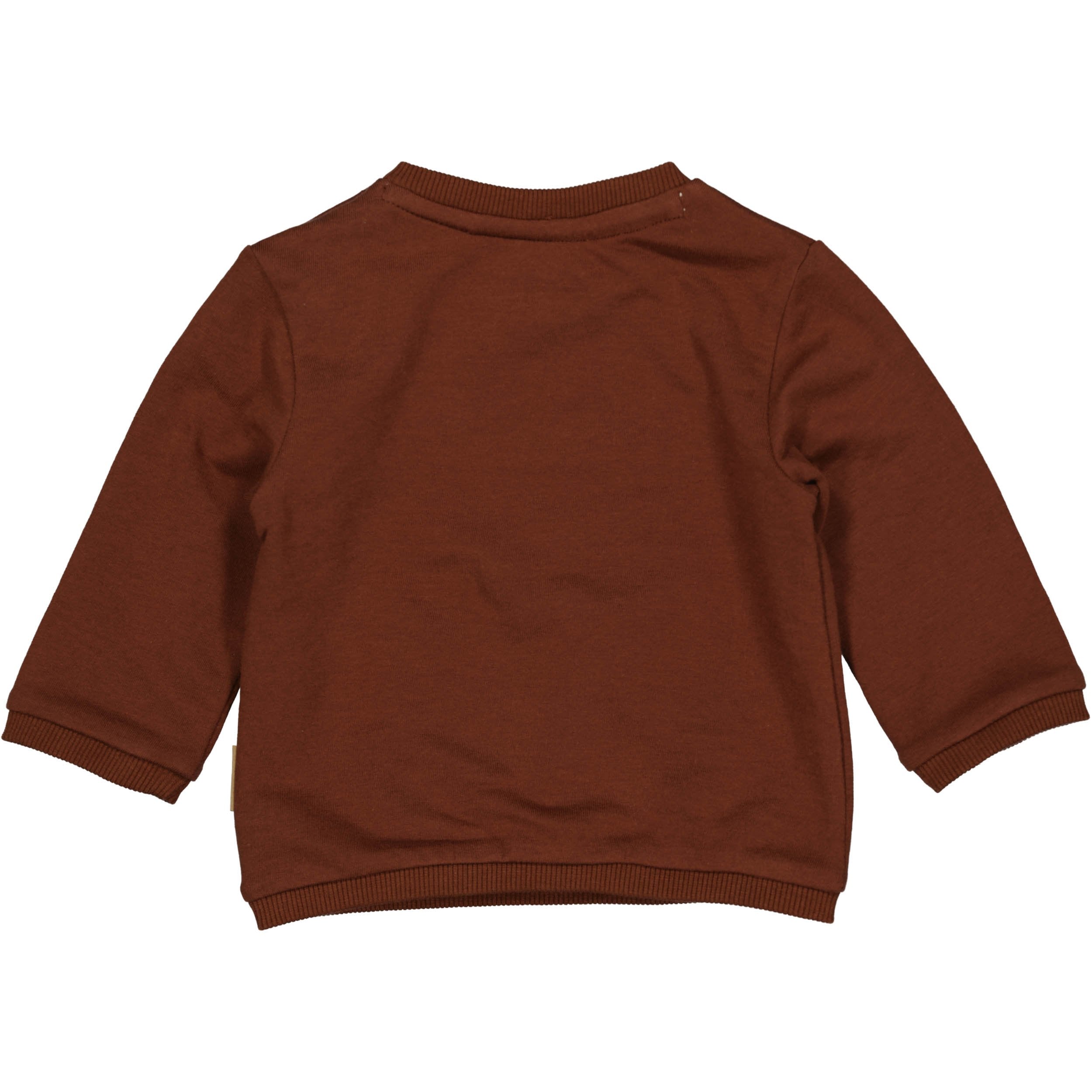 Jongens Sweater MARK NBW21 van Quapi Newborn in de kleur Brown Choco in maat 68.