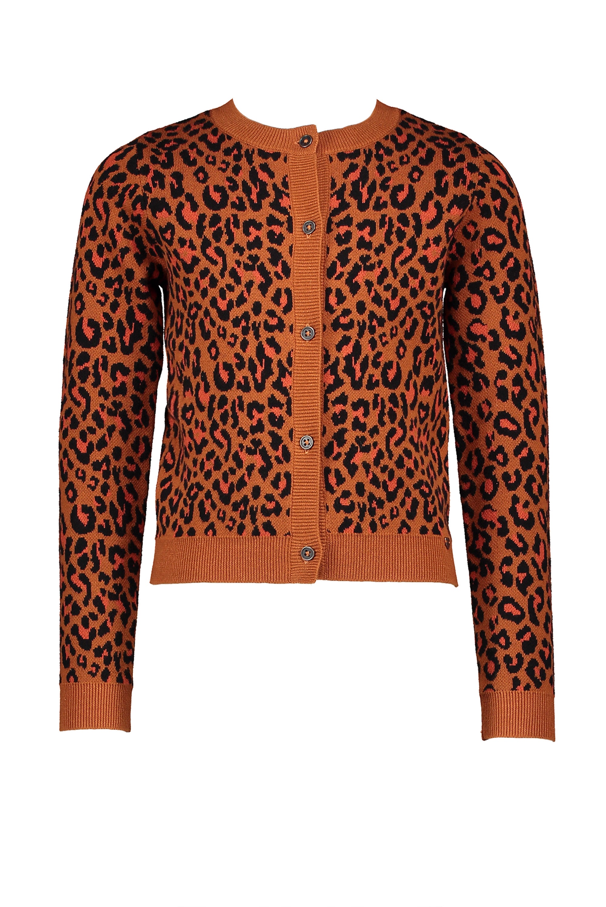 NoNo Aysa intarsia Leopard AOP cardigan