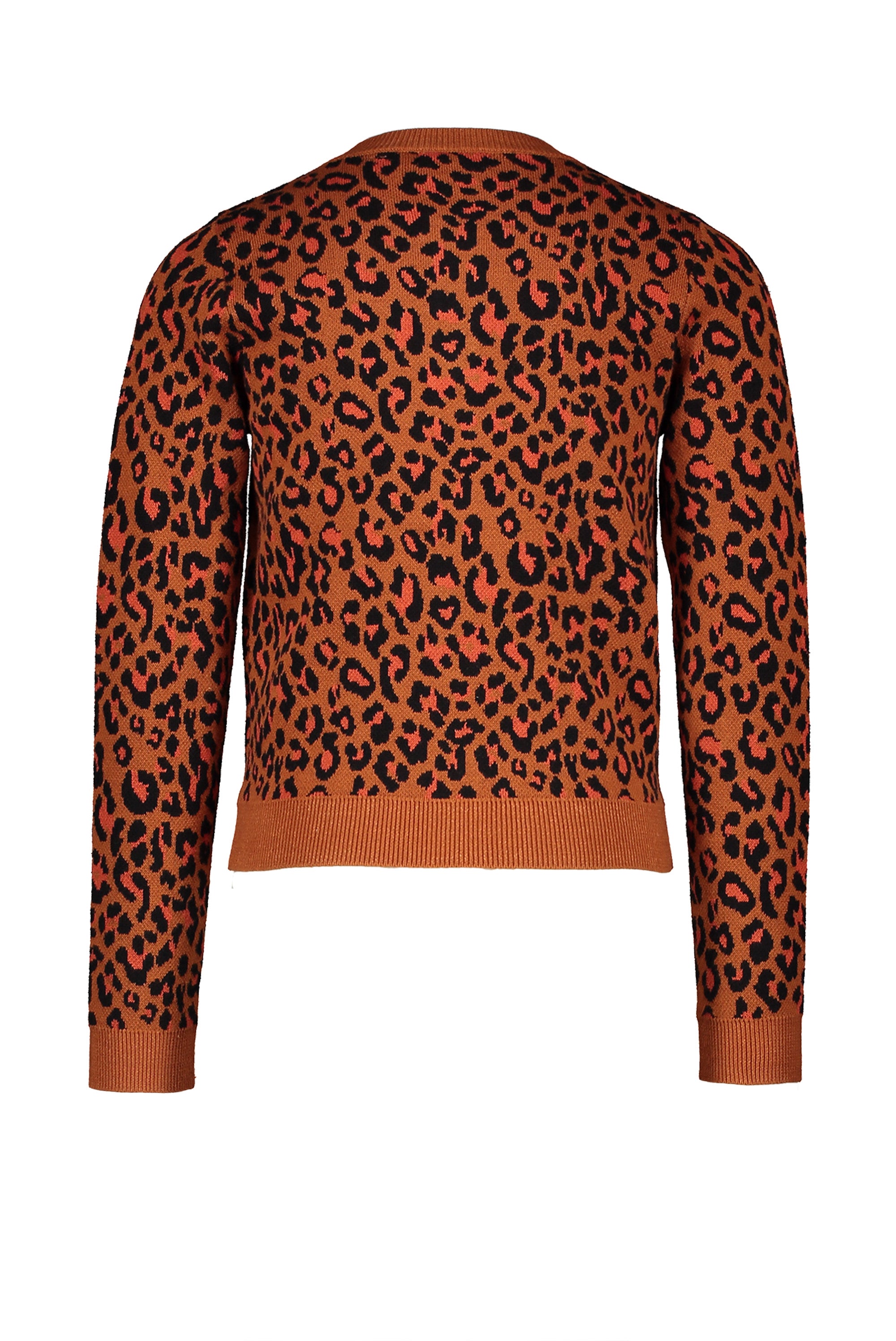 NoNo Aysa intarsia Leopard AOP cardigan