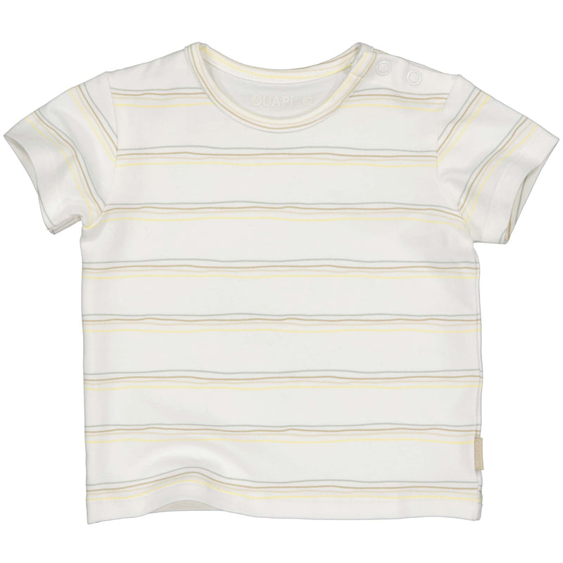 Jongens T-shirt stripe Sebas van Quapi Newborn in de kleur AOP Multi Stripe in maat 68.