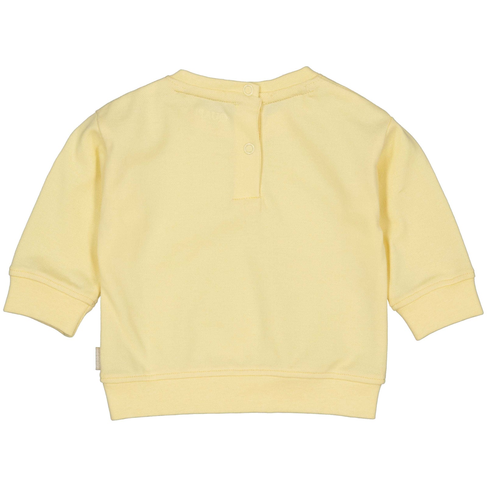 Quapi Newborn Sweater Sid
