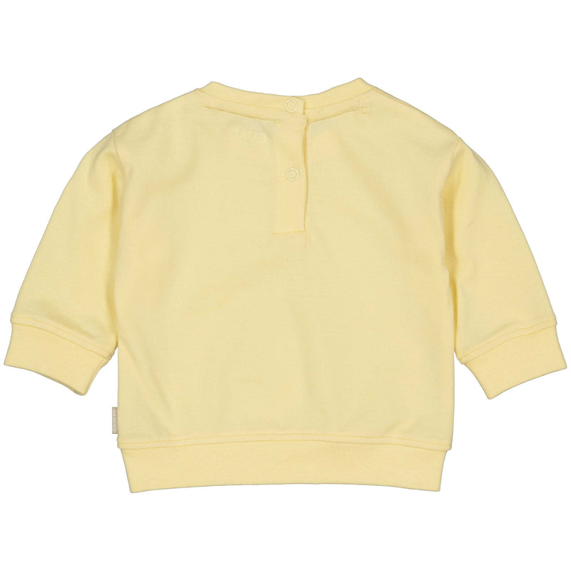 Jongens Sweater Sid van Quapi Newborn in de kleur Yellow Cream in maat 68.