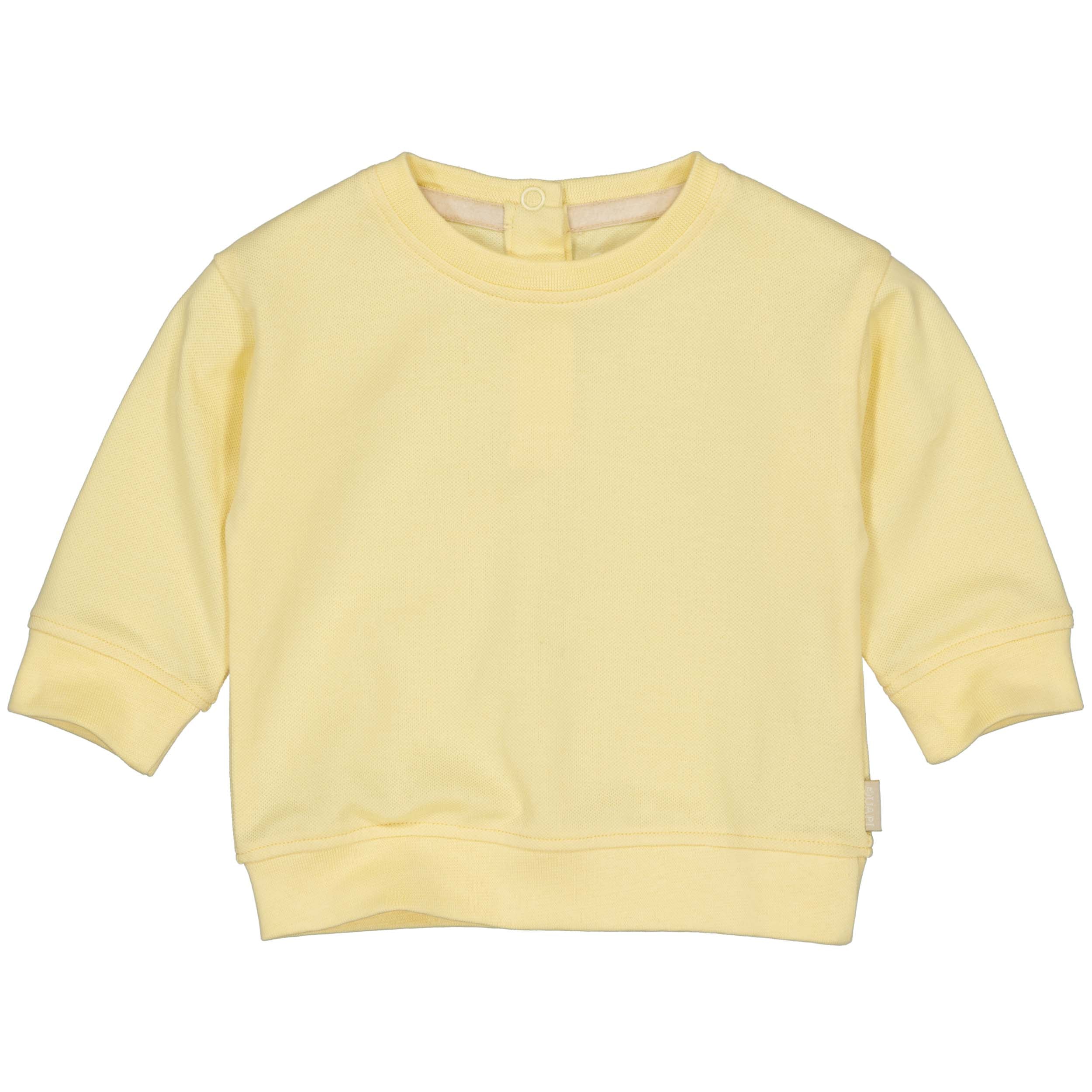 Jongens Sweater Sid van Quapi Newborn in de kleur Yellow Cream in maat 68.