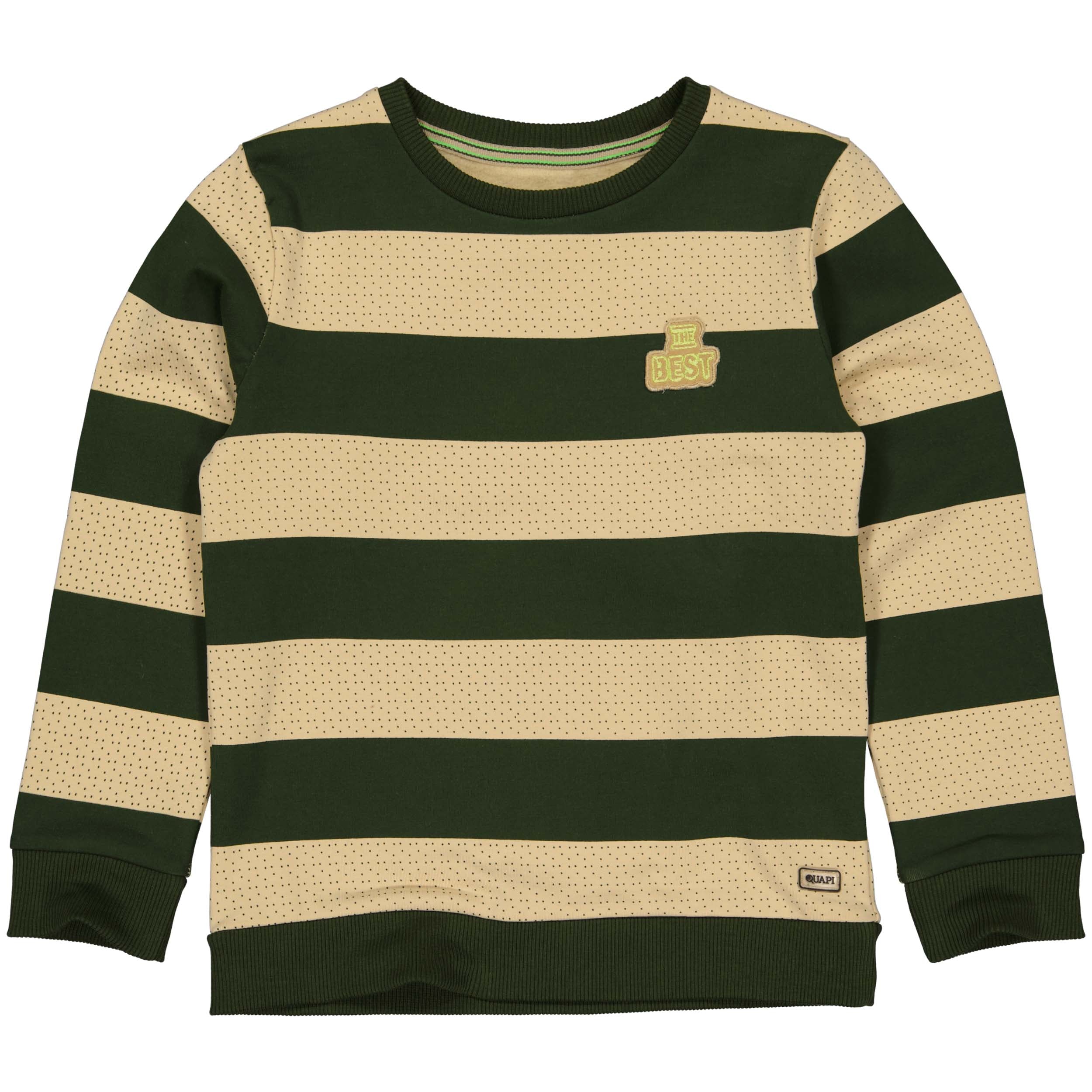 Jongens Sweater RAMOW221 van Quapi in de kleur Green Wood Stripe in maat 98-104.