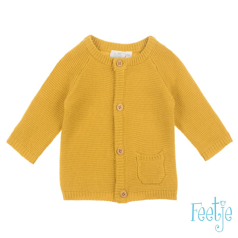 Baby, Geel, 68, Feetje,  Vest, €20-€30