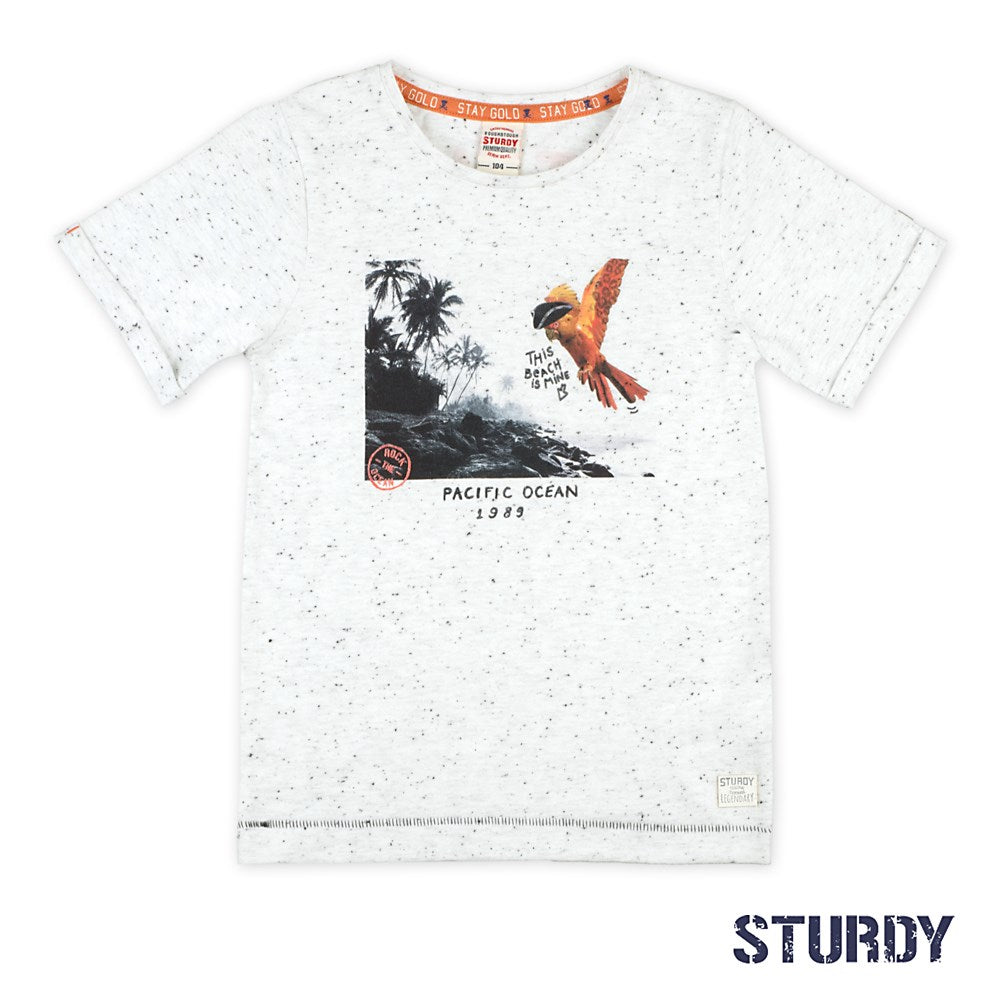 T-shirt photoprint - Treasure Hunter Sturdy