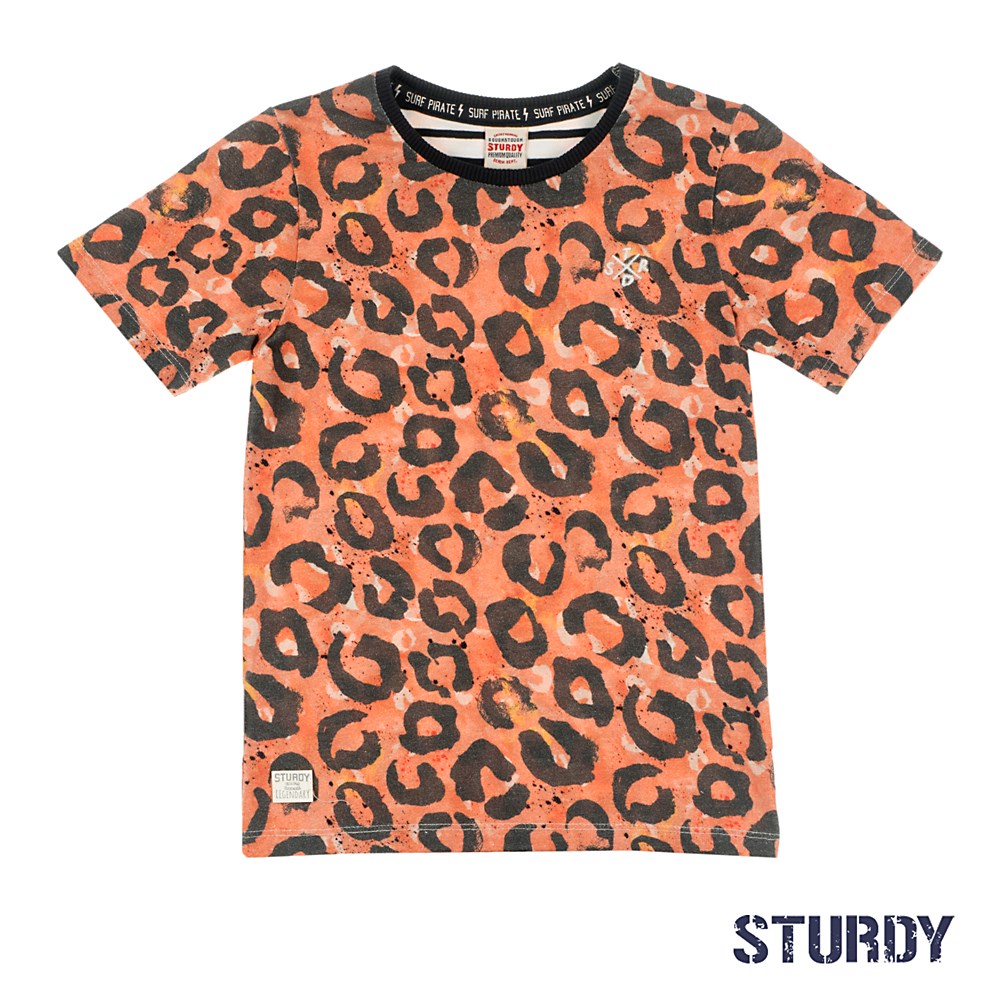 Jongen, Oranje, 128, Sturdy, €15-€20, T-shirt