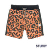 Jongen, Oranje, 128, Sturdy, €20-€30, Short
