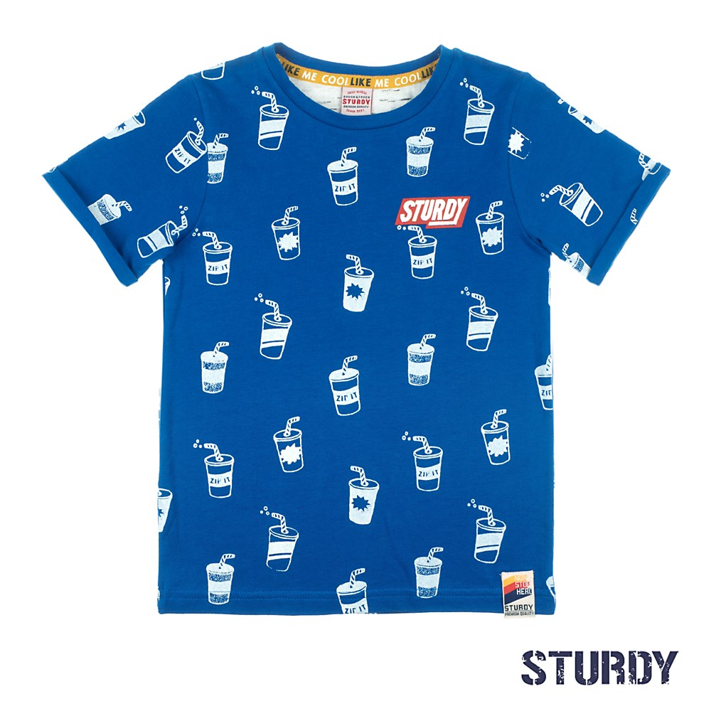 Jongen, Blauw, 128, Sturdy, €20-€30, T-shirt